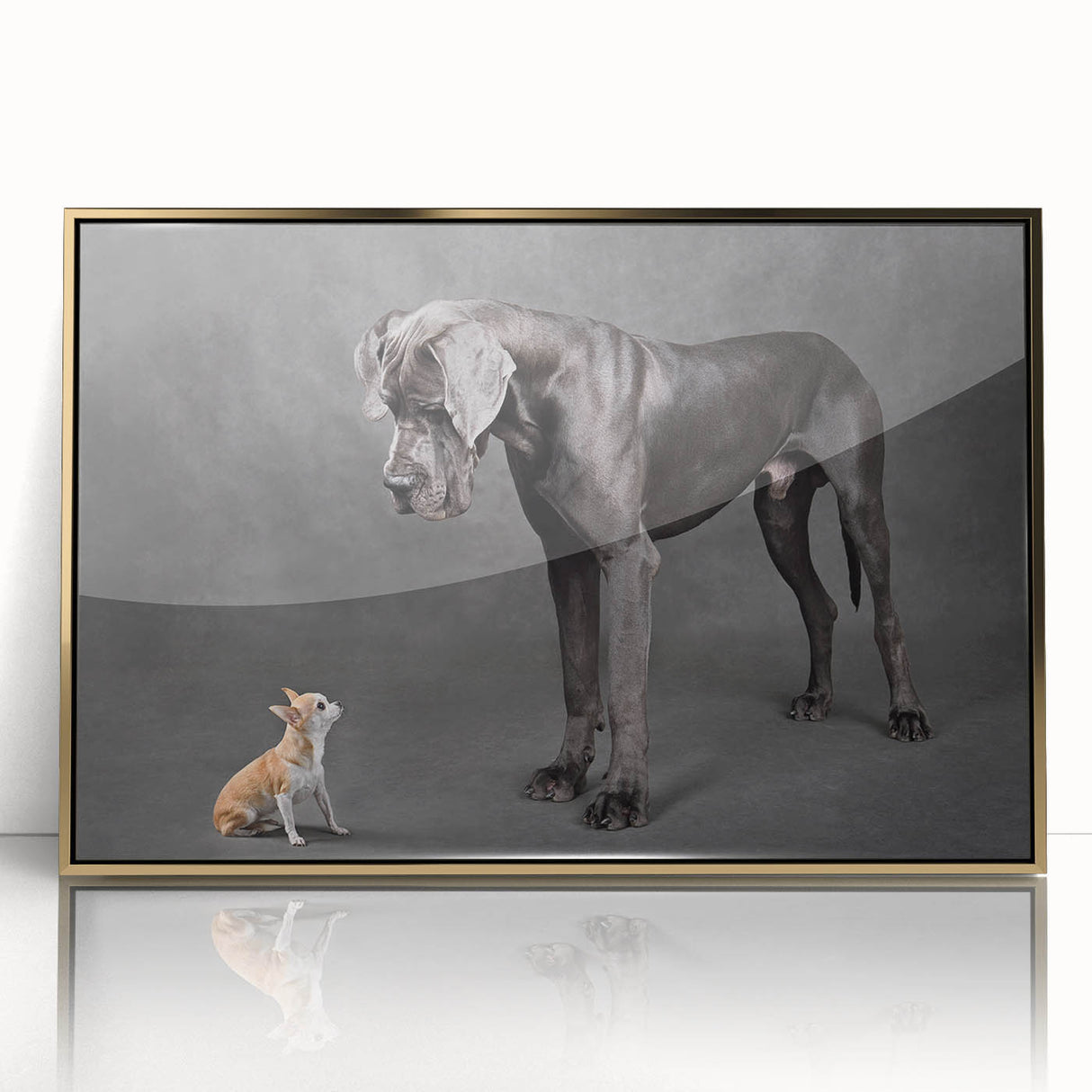 Framed wall art featuring a gold-accented design of playful dogs in a vibrant, colorful setting, perfect for animal lovers and home decor enthusiasts.
