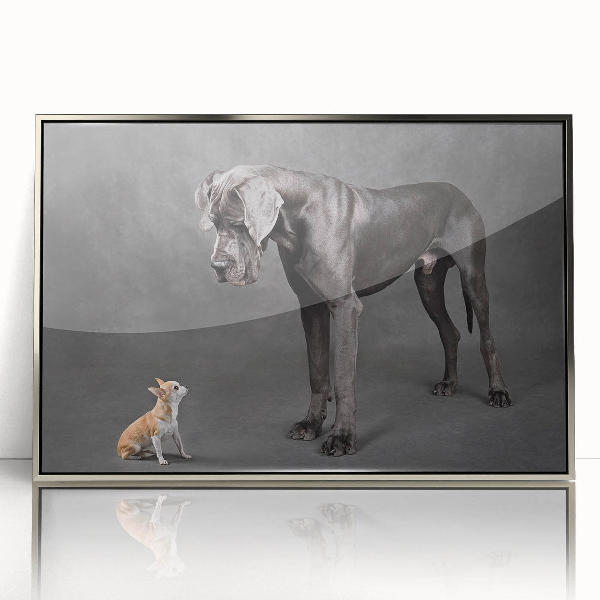 Framed wall art showcasing a stylish dog design in silver acrylic, ideal for animal lovers. This modern decor piece adds a touch of elegance to any room.