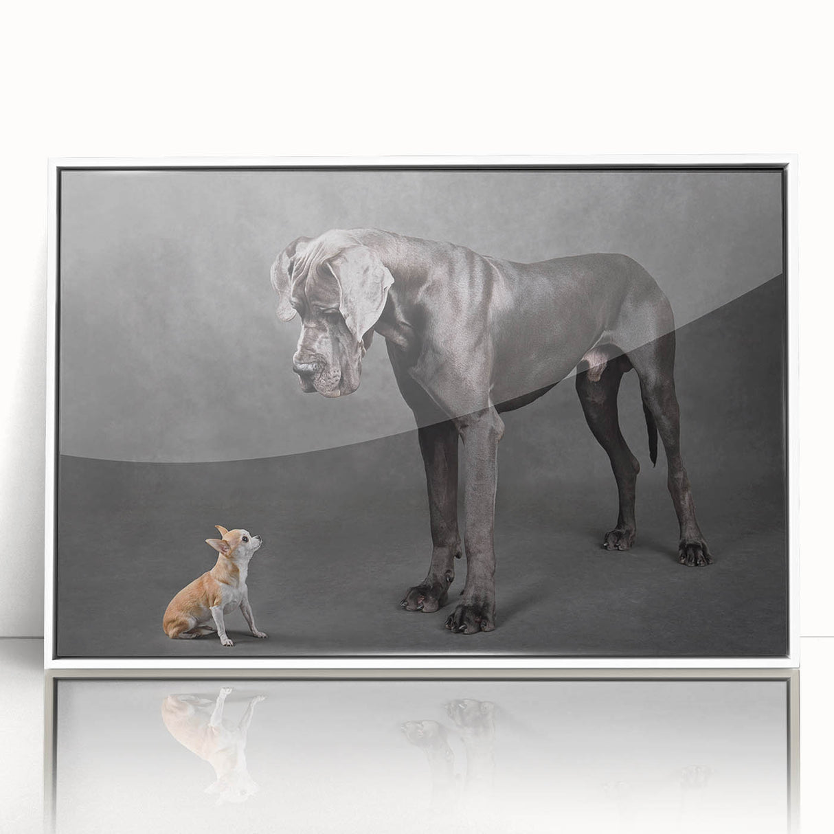 Framed wall art showcasing a vibrant dog-themed design from the 'Animals: A Wild Life' collection, featuring a white frame and acrylic front, ideal for pet lovers.