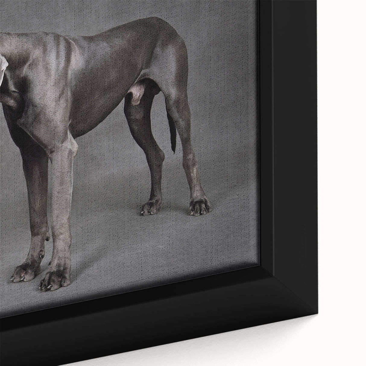 Framed canvas wall art showcasing a close-up of a colorful dog design, featuring vibrant hues and intricate details, perfect for animal lovers and home decor enthusiasts.