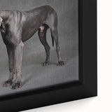 Framed canvas wall art showcasing a close-up of a colorful dog design, featuring vibrant hues and intricate details, perfect for animal lovers and home decor enthusiasts.