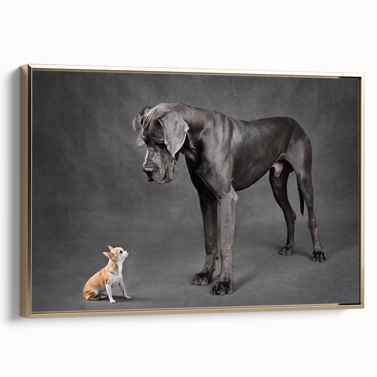 Framed canvas wall art showcasing a vibrant dog design from the Animals A Wild Life collection, featuring a gold frame and a side view, perfect for pet lovers’ decor.