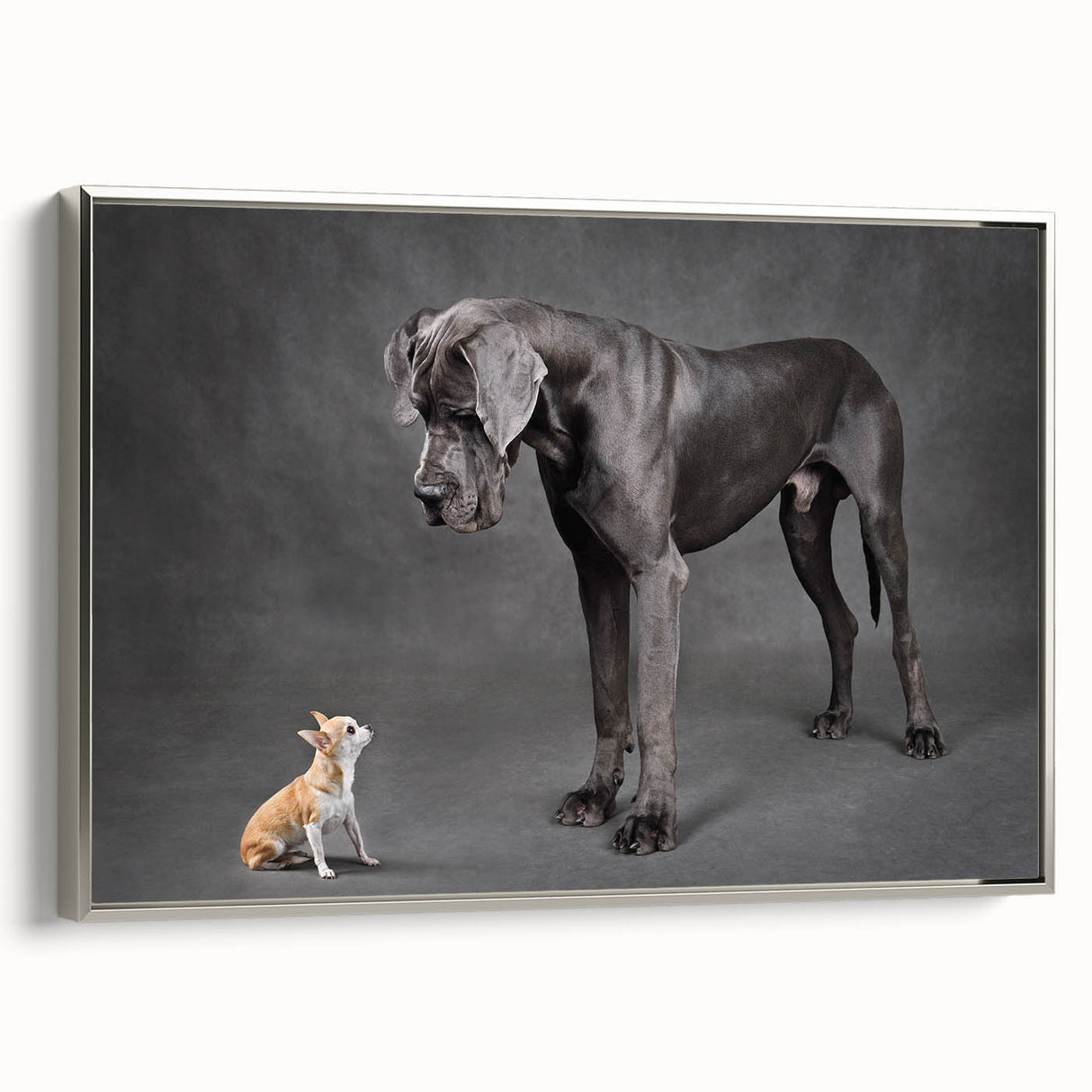 Framed canvas wall art showcasing a vibrant design of wild dogs in a natural setting, featuring a sleek silver frame and high-quality finish, perfect for animal lovers.