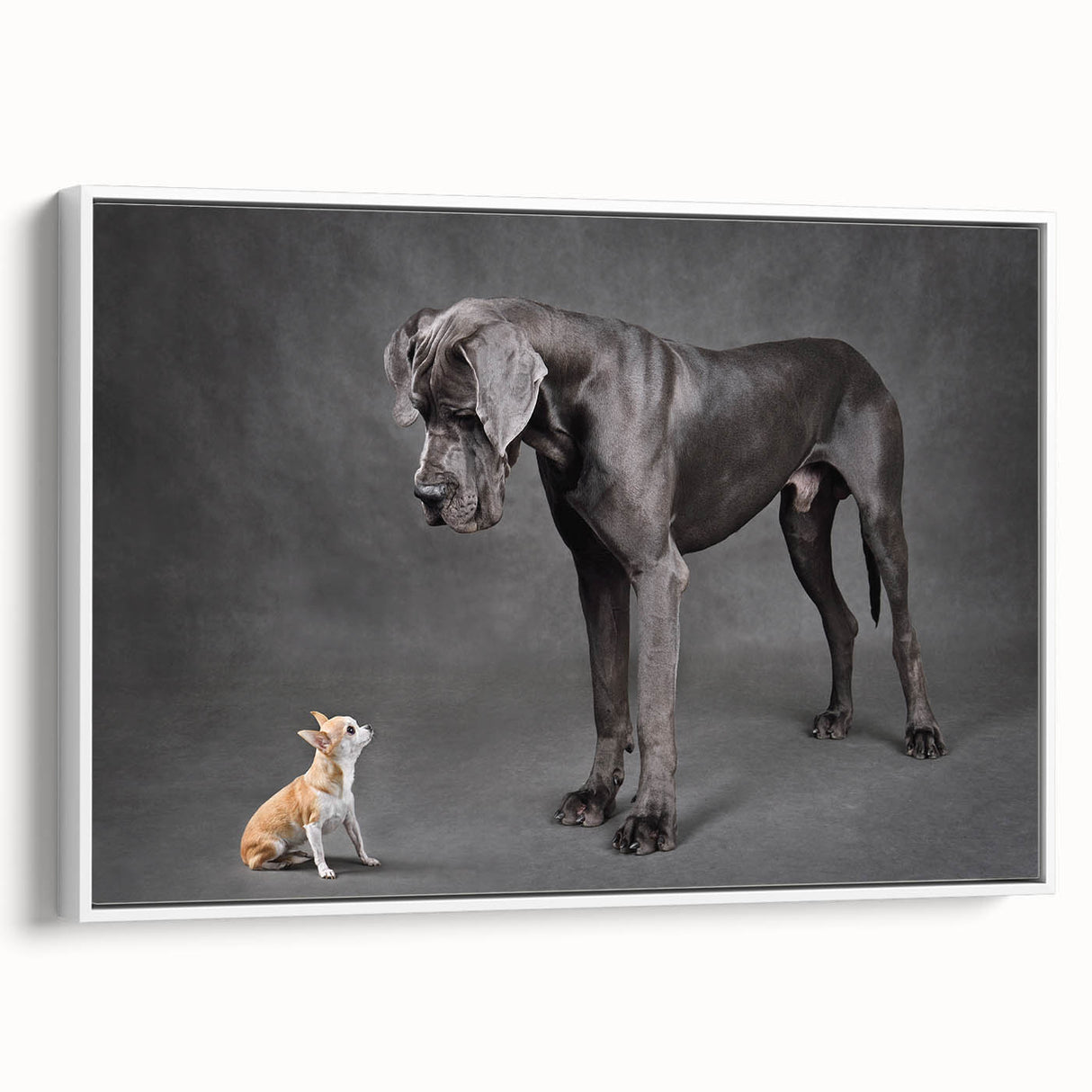 Framed canvas wall art showcasing a vibrant design of wild dogs in a natural setting, featuring rich colors and detailed textures, perfect for animal lovers' decor.