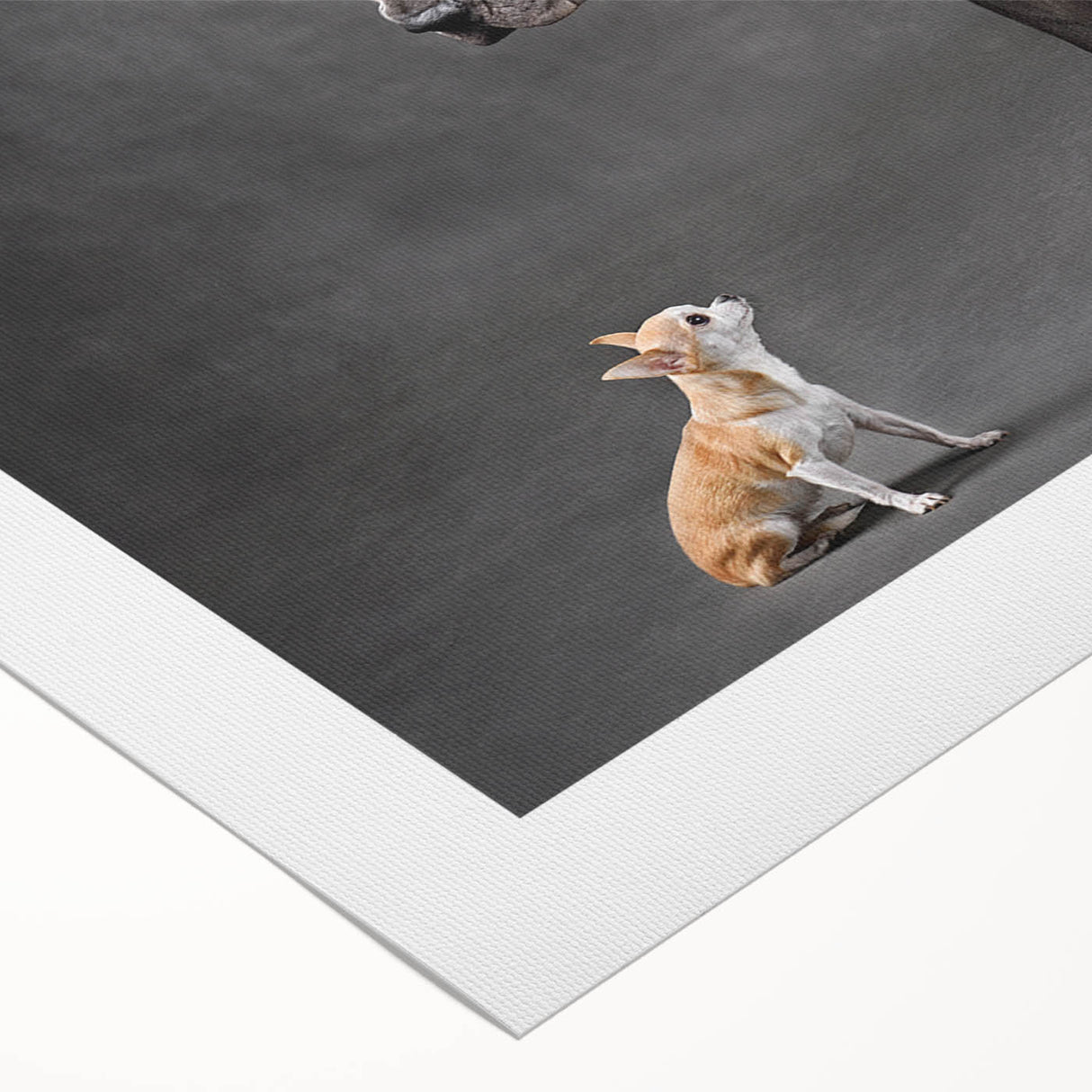 Rolled canvas wall art featuring a vibrant design of various dog breeds in a wild-life theme, showcasing intricate details and colors, perfect for animal lovers.