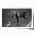 Rolled print showcasing a vibrant illustration of various dog breeds in a whimsical, colorful design, perfect for pet lovers and home decor enthusiasts.