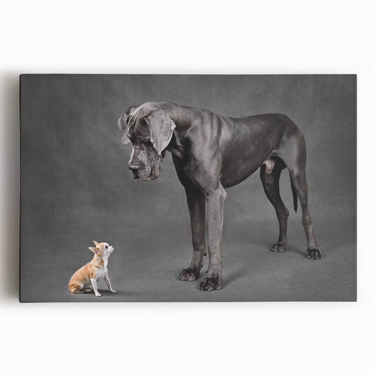 Stretched canvas wall art featuring a vibrant dog design, showcasing playful and colorful illustrations against a neutral background, perfect for animal lovers.