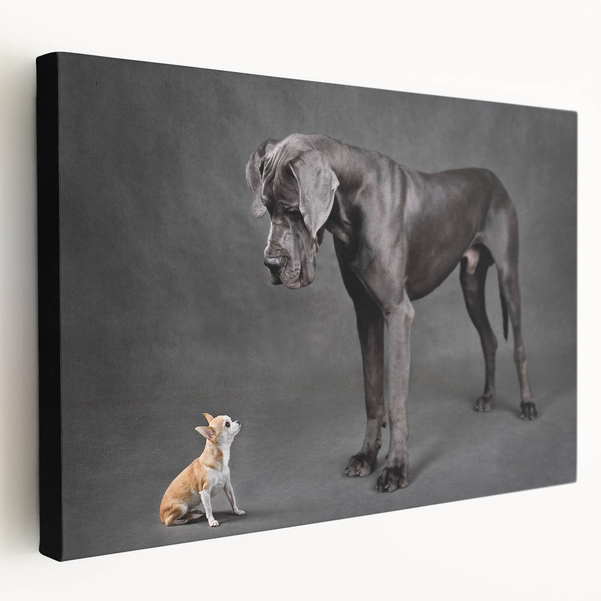 Stretched canvas wall art showcasing a colorful dog design from the "Animals A Wild Life" collection, featuring vibrant hues and playful imagery, perfect for pet lovers’ decor.