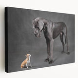 Stretched canvas wall art showcasing a colorful dog design from the "Animals A Wild Life" collection, featuring vibrant hues and playful imagery, perfect for pet lovers’ decor.
