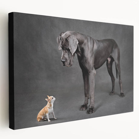 Stretched canvas wall art showcasing a colorful dog design from the "Animals A Wild Life" collection, featuring vibrant hues and playful imagery, perfect for pet lovers’ decor.
