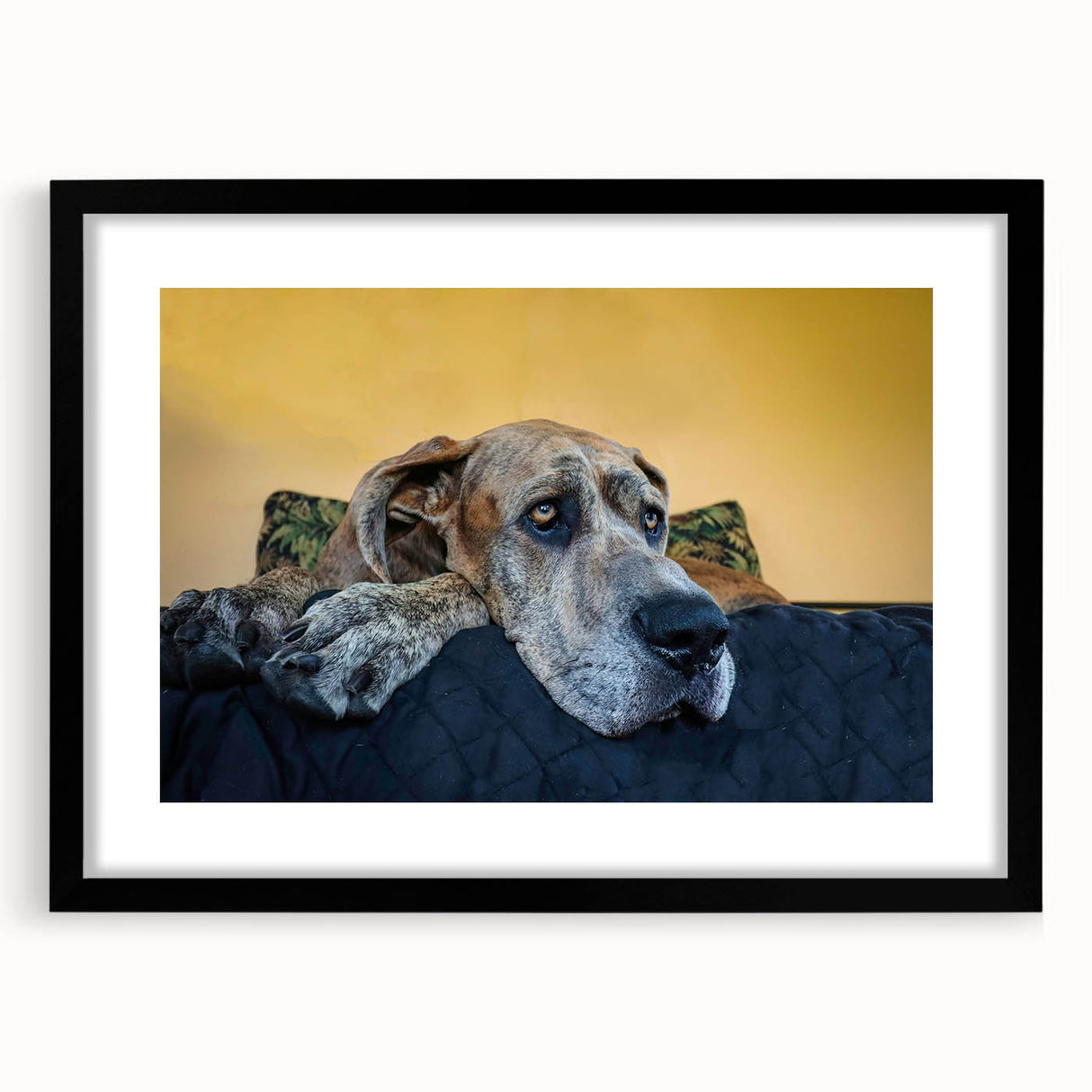 Framed wall art showcasing a vibrant dog illustration from the "Animals A Wild Life" collection, featuring a sleek black frame and mat, perfect for pet lovers' home decor.