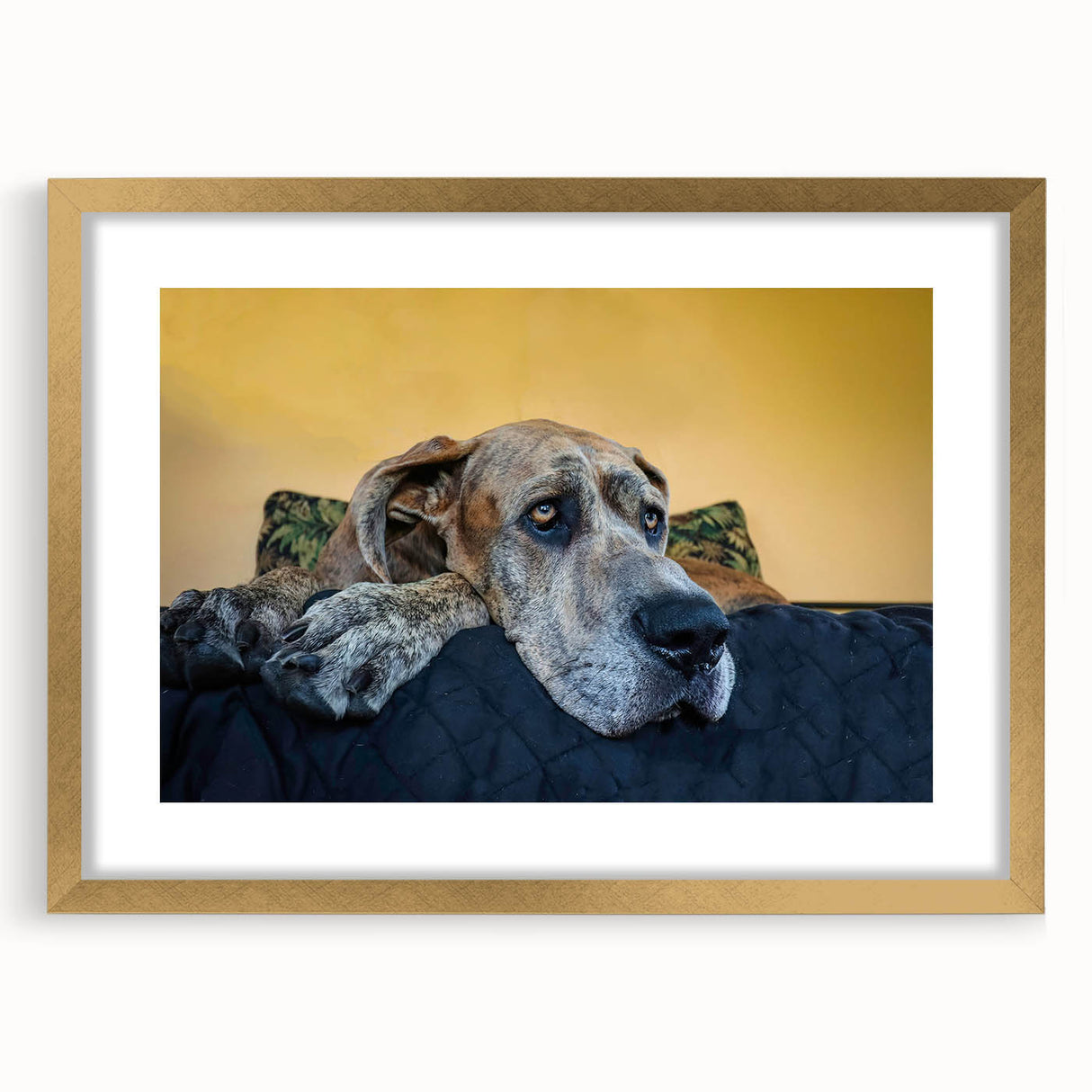 Framed wall art featuring a vibrant dog design from the "Animals A Wild Life" collection, showcasing intricate details and a luxurious gold frame, perfect for enhancing home decor.