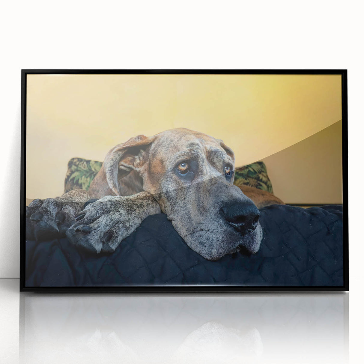 Framed wall art featuring a striking design of various dog breeds in a colorful, abstract style, set against a sleek black frame for an elegant presentation.
