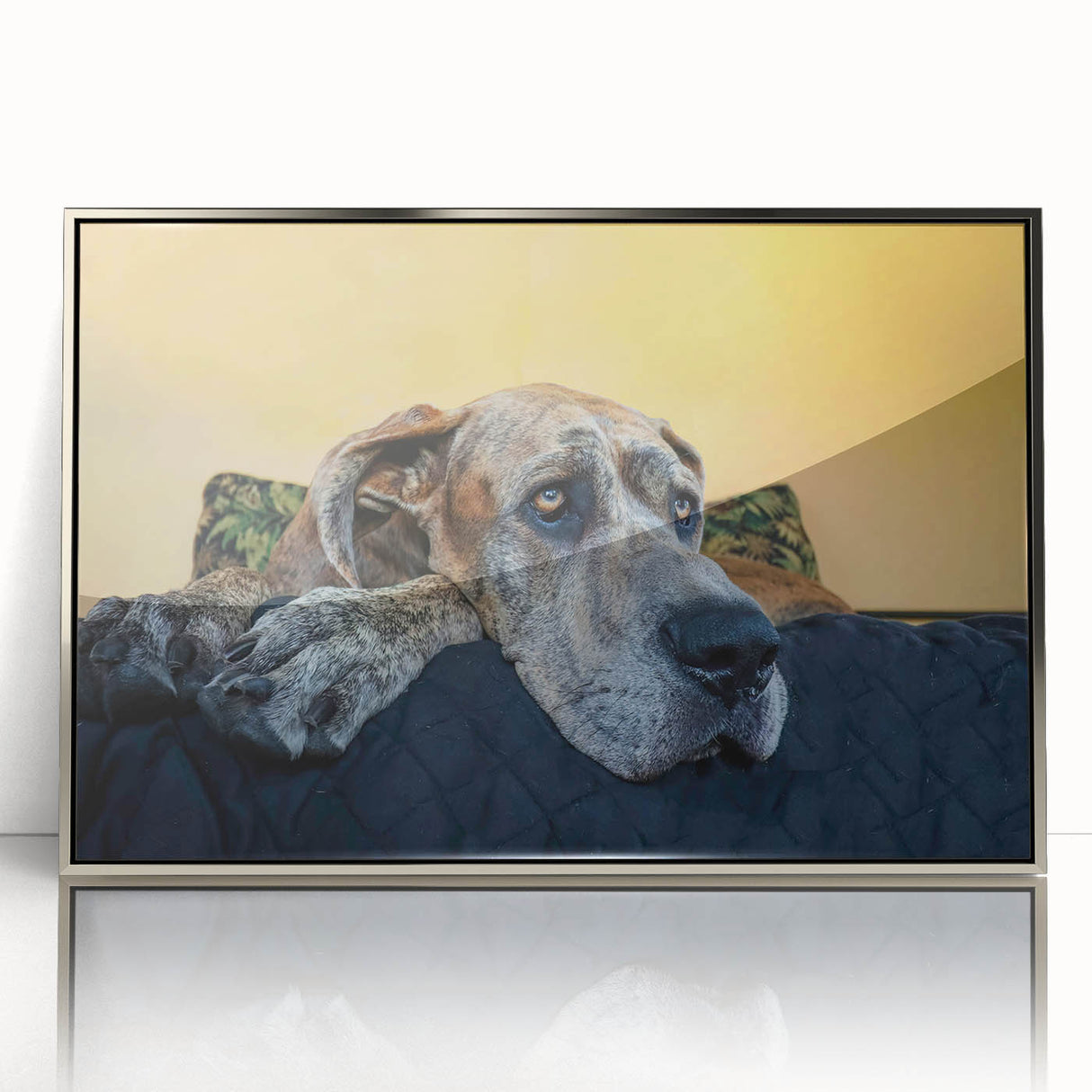 Framed wall art featuring a striking design of various dog breeds in a colorful wild-life theme, set in a sleek silver acrylic frame, ideal for pet lovers' decor.