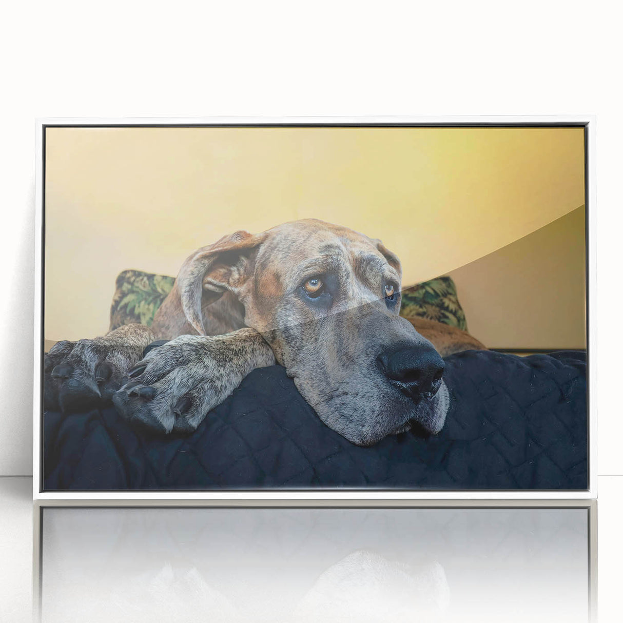 Framed acrylic wall art featuring a vibrant design of various dog breeds, set against a white background, ideal for animal lovers and home decor enthusiasts.