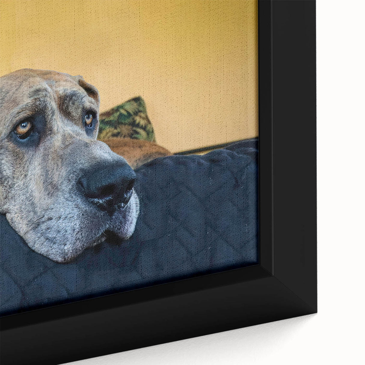 Framed canvas wall art showcasing a close-up of a playful dog design, featuring vibrant colors and intricate detailing, perfect for animal lovers and home decor.