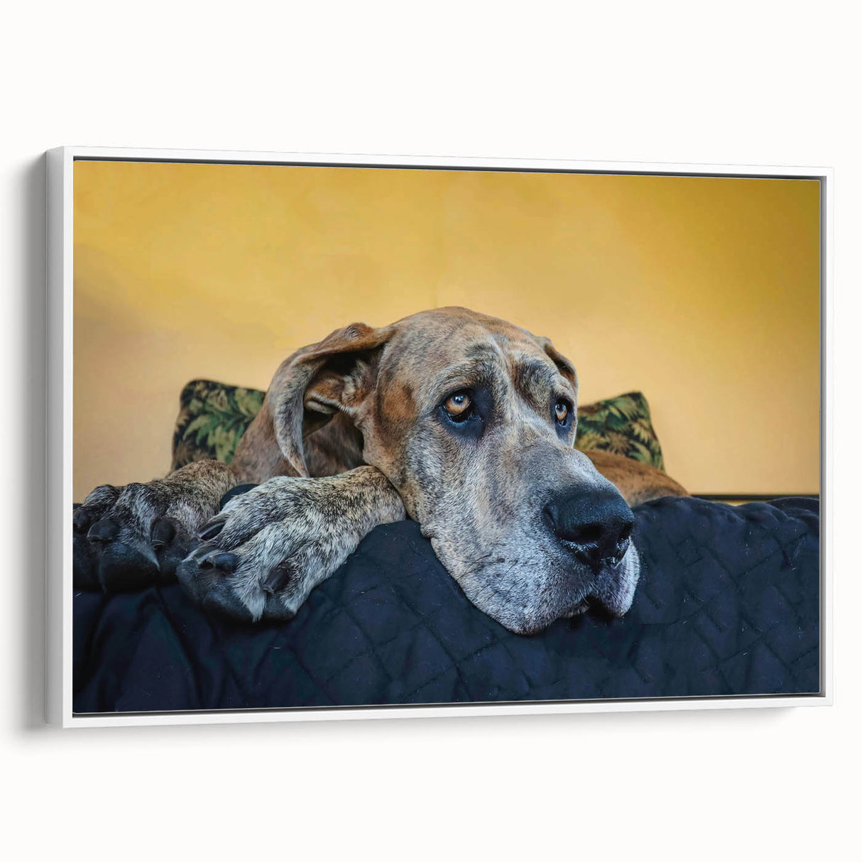 Framed canvas wall art featuring a colorful design of various dog breeds in a playful layout, set against a white background, showcasing vibrant details and textures.