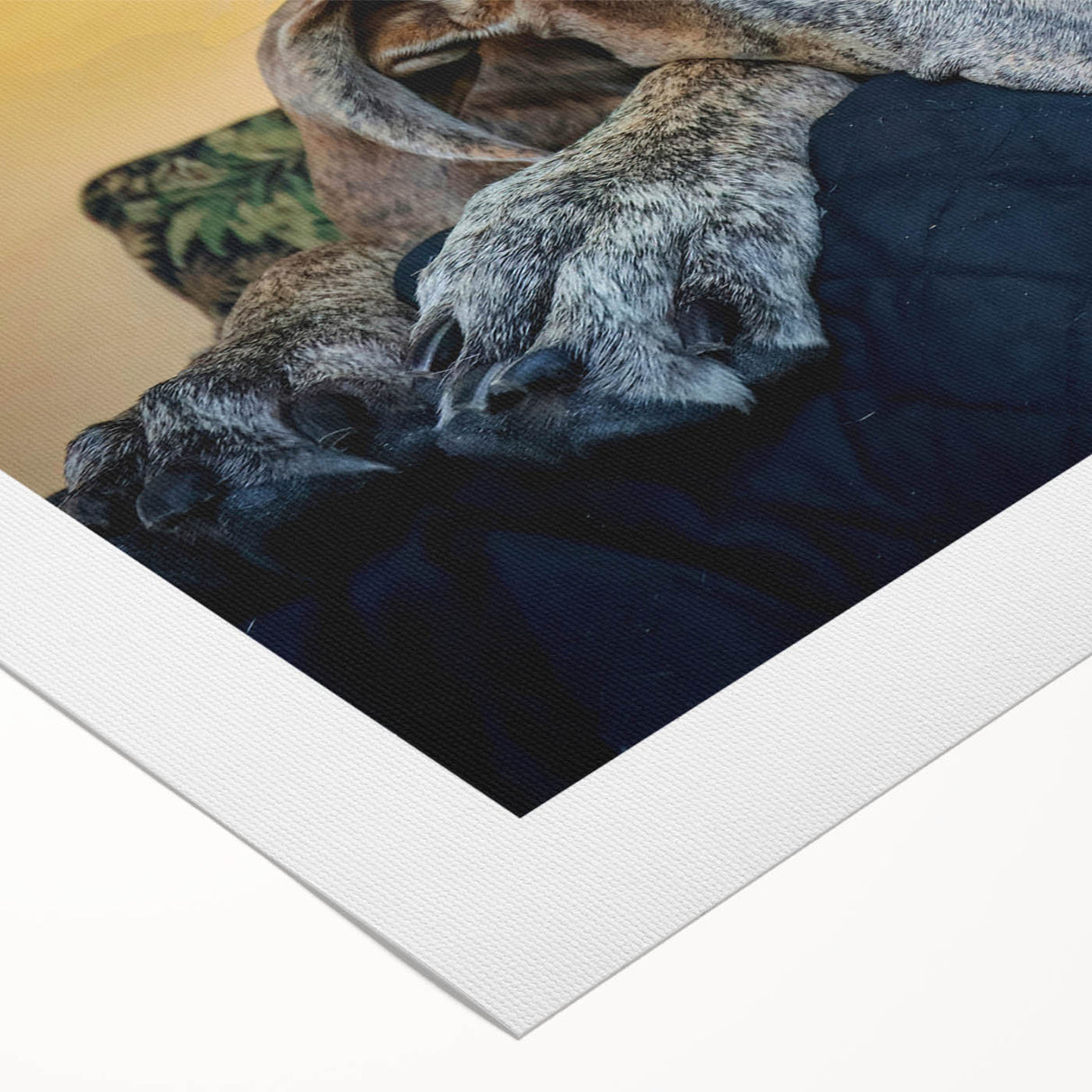Vibrant rolled canvas featuring a stunning design of wild dogs in a natural setting, showcasing intricate details and rich colors, perfect for animal lovers and home decor.