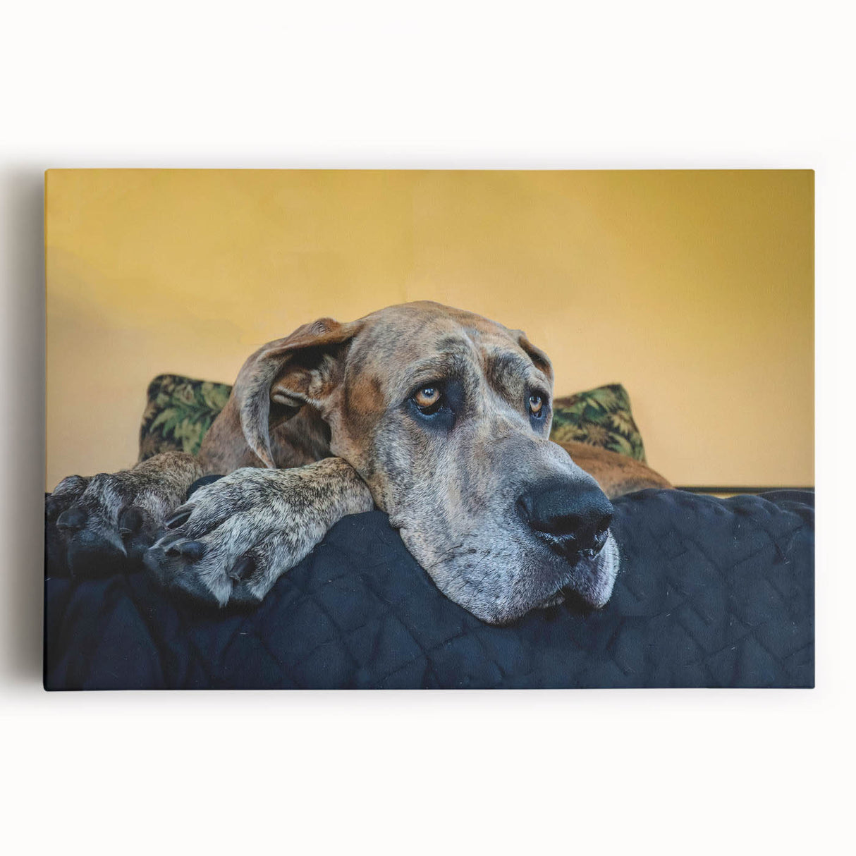 Stretched canvas wall art featuring a vibrant dog design, showcasing playful dogs in various poses against a colorful background, perfect for animal lovers' home decor.