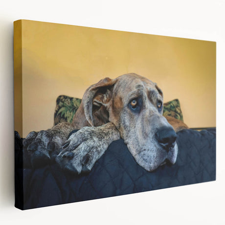 Stretched canvas wall art featuring a vibrant dog design, showcasing detailed fur textures and playful colors, perfect for animal lovers' home decor.
