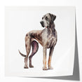 Colorful wall art featuring a vibrant collection of dog illustrations, showcasing playful poses and expressions, perfect for animal lovers and home decor enthusiasts.