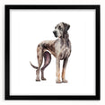 Framed wall art collection featuring a stylish design of various dog breeds in a modern black frame, perfect for animal lovers' home decor.