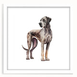 Framed wall art featuring a collection of various dog breeds in a vibrant, colorful design, set against a white mat, ideal for animal lovers and home decor.