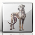 Framed acrylic wall art featuring a vibrant dog design from the "Animals A Wild Life" collection, showcasing a black frame and colorful artwork, perfect for pet lovers and home decor enthusiasts.