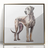 Framed wall art collection showcasing a vibrant dog design, featuring acrylic glass and a sleek gold frame, perfect for animal lovers' home décor.