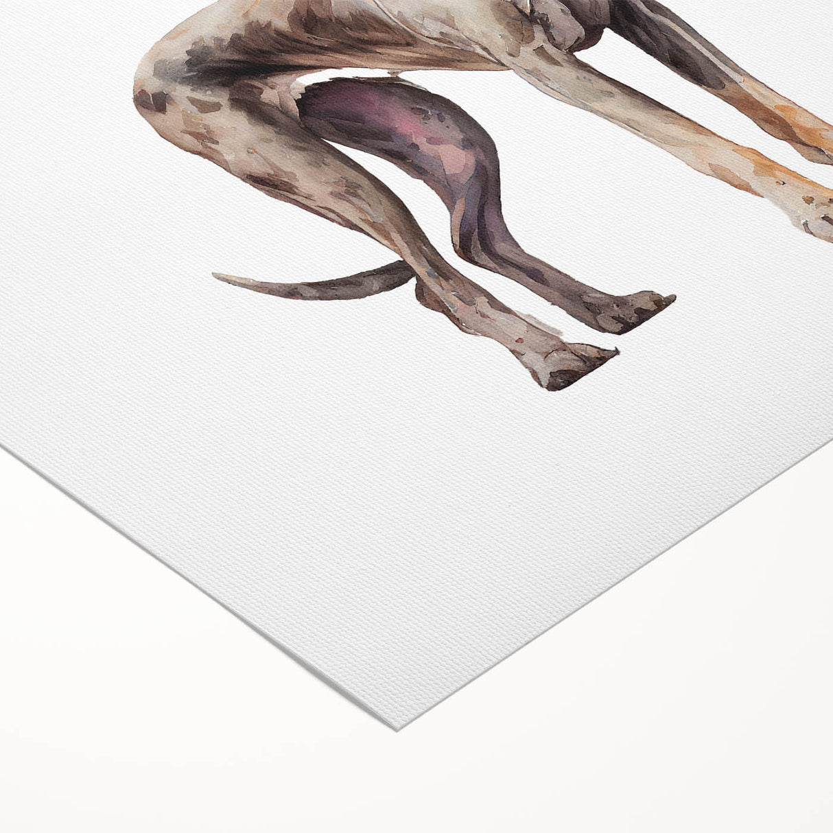 Rolled canvas showcasing a vibrant dog-themed wall art design, featuring playful canine illustrations in various colors, ideal for pet lovers and home decor enthusiasts.