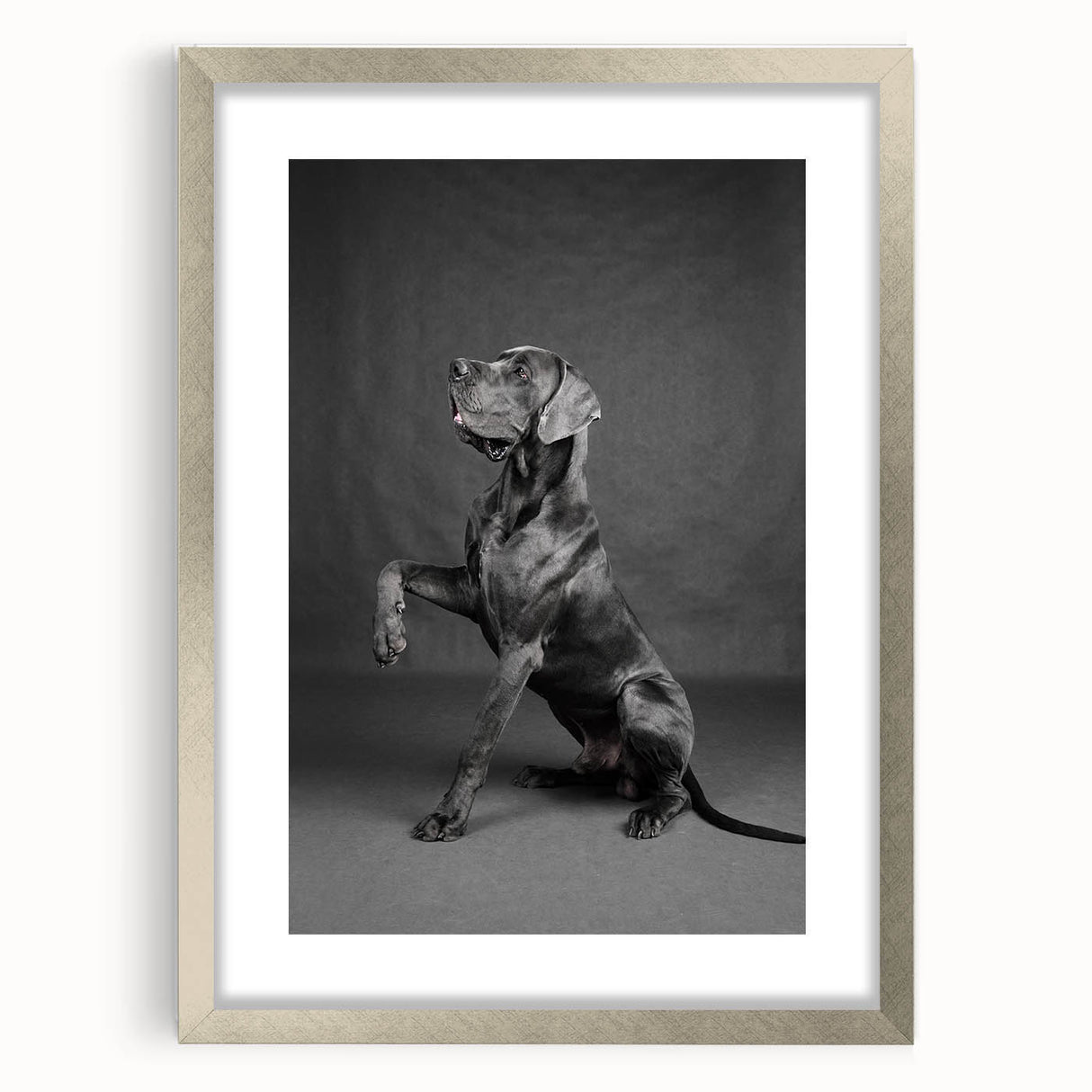 Framed wall art featuring a stylish design of various dog breeds, set in a sleek silver frame with a white mat, perfect for enhancing home decor.