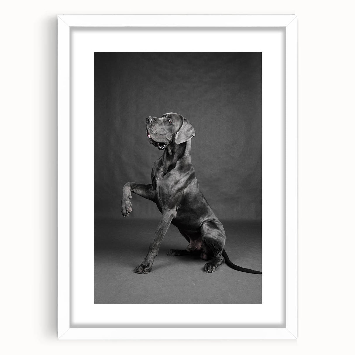 Wall art featuring a collection of playful dog illustrations in vibrant colors, framed with a white mat, perfect for animal lovers' decor.