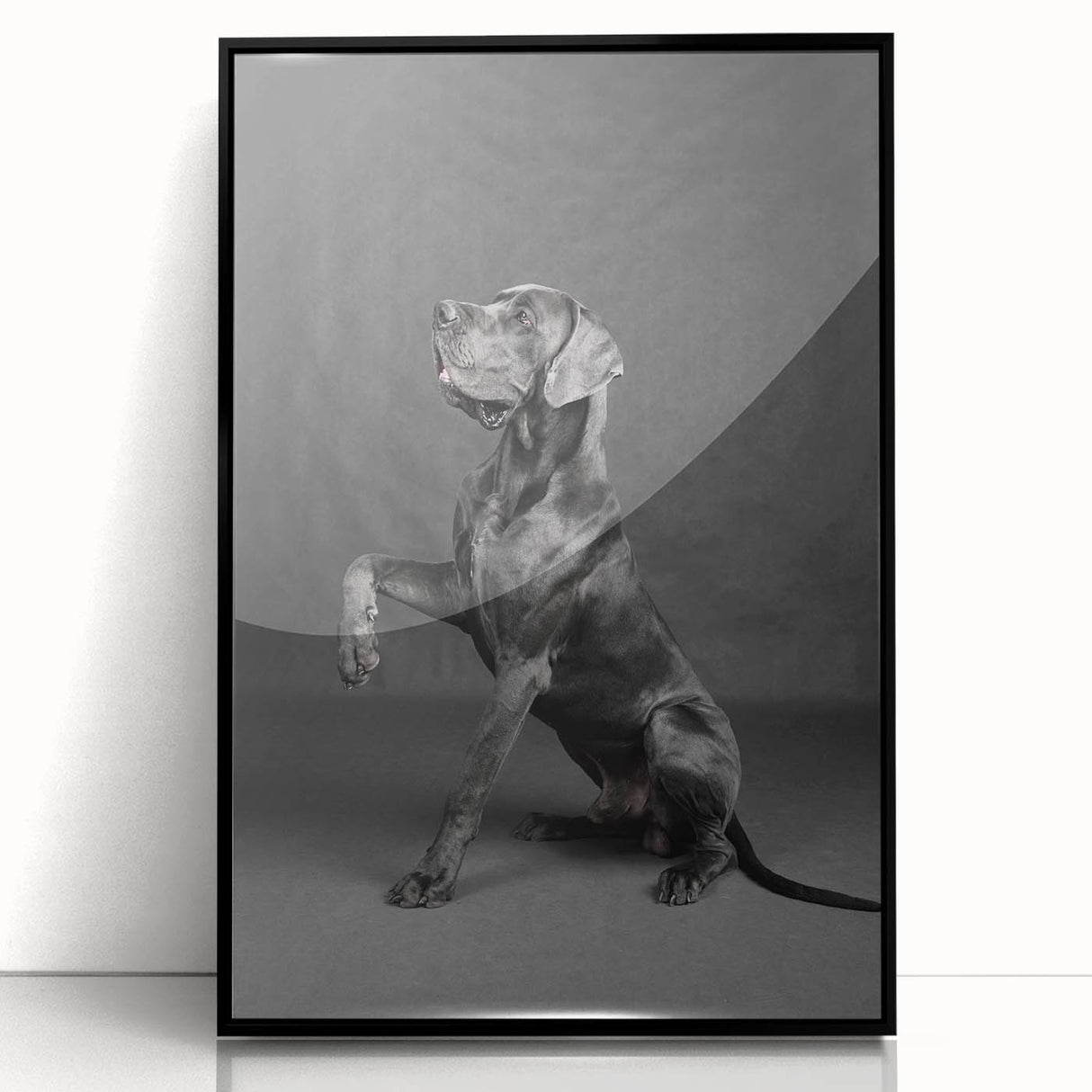 Framed black acrylic wall art featuring a vibrant design of dogs in a wild life theme, showcasing detailed colors and playful expressions, ideal for animal lovers.