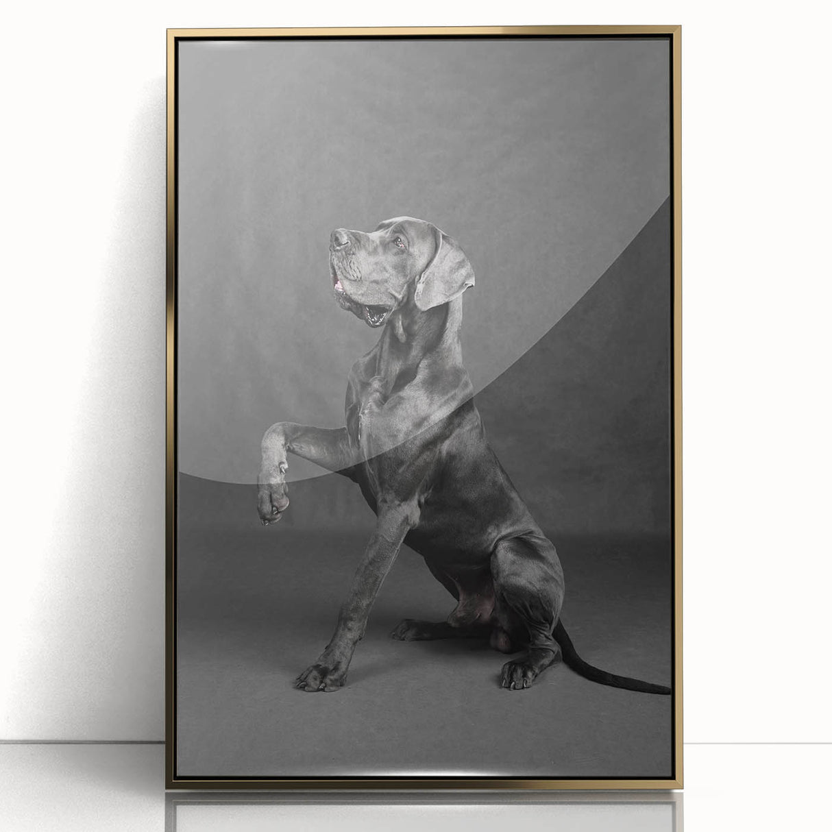 Framed wall art showcasing a vibrant design of wild dogs in a gold-acrylic frame, ideal for animal lovers and home decor enthusiasts, enhancing any living space.