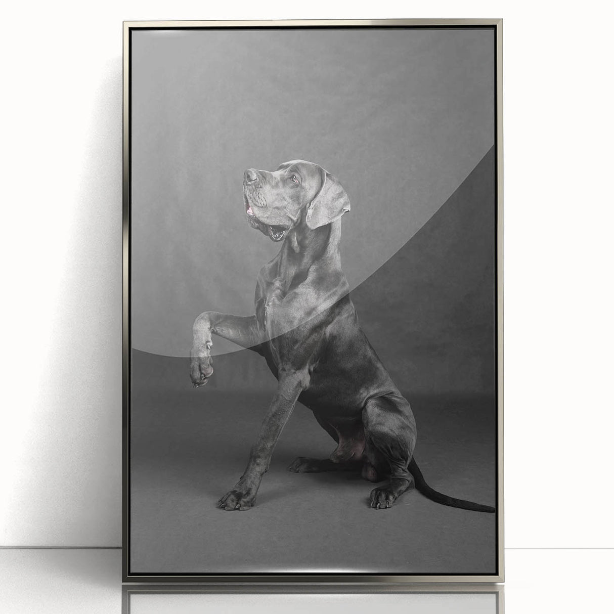 Framed wall art collection showcasing a vibrant dogs design, featuring a sleek silver frame and acrylic front for a modern touch, perfect for animal lovers.