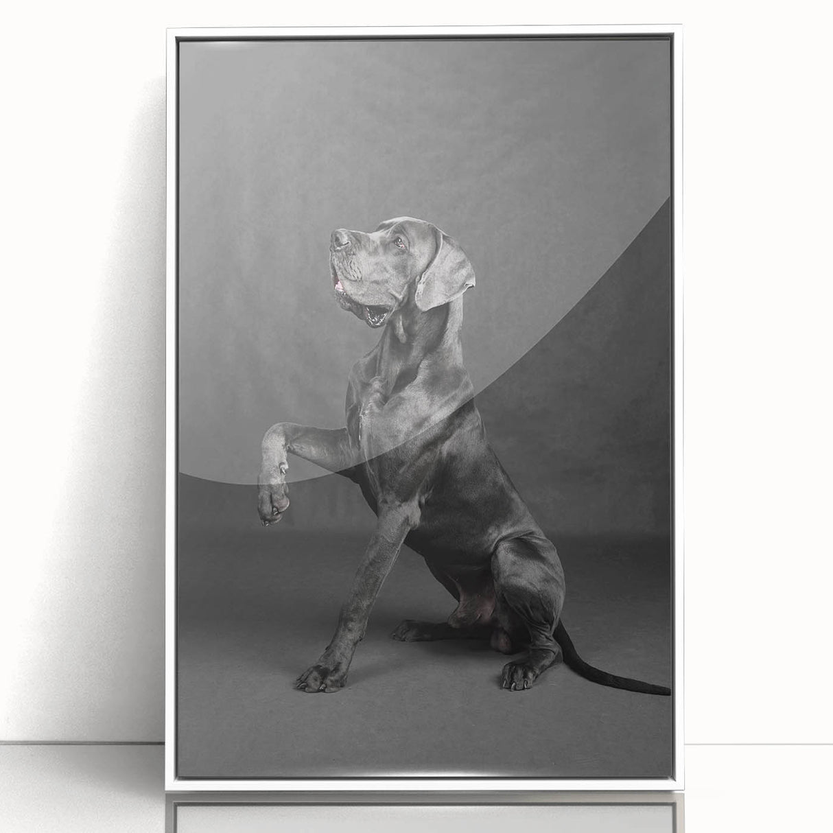 Framed wall art featuring a vibrant design of various dog breeds in a wild life theme, set against a white background, ideal for pet lovers' home decor.