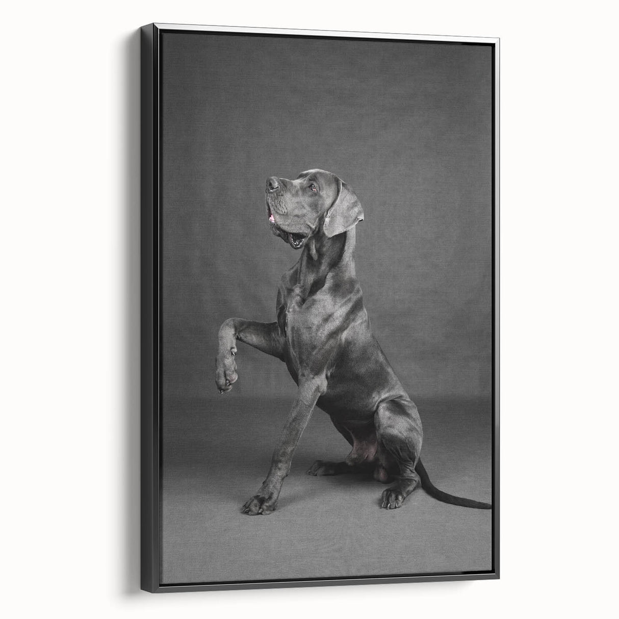 Framed canvas wall art showcasing a vibrant dog design from the "Animals: A Wild Life" collection, featuring a sleek black frame and side view, perfect for pet lovers’ decor.