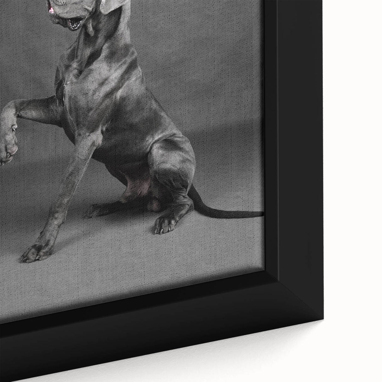 Close-up of a framed canvas wall art featuring a vibrant design of various dog breeds in a natural setting, perfect for animal lovers and home decor enthusiasts.