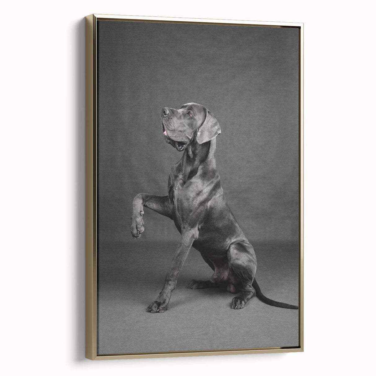 Framed canvas wall art showcasing a vibrant dog-themed design with gold accents, ideal for animal lovers, displayed against a neutral backdrop. Perfect for home decor.