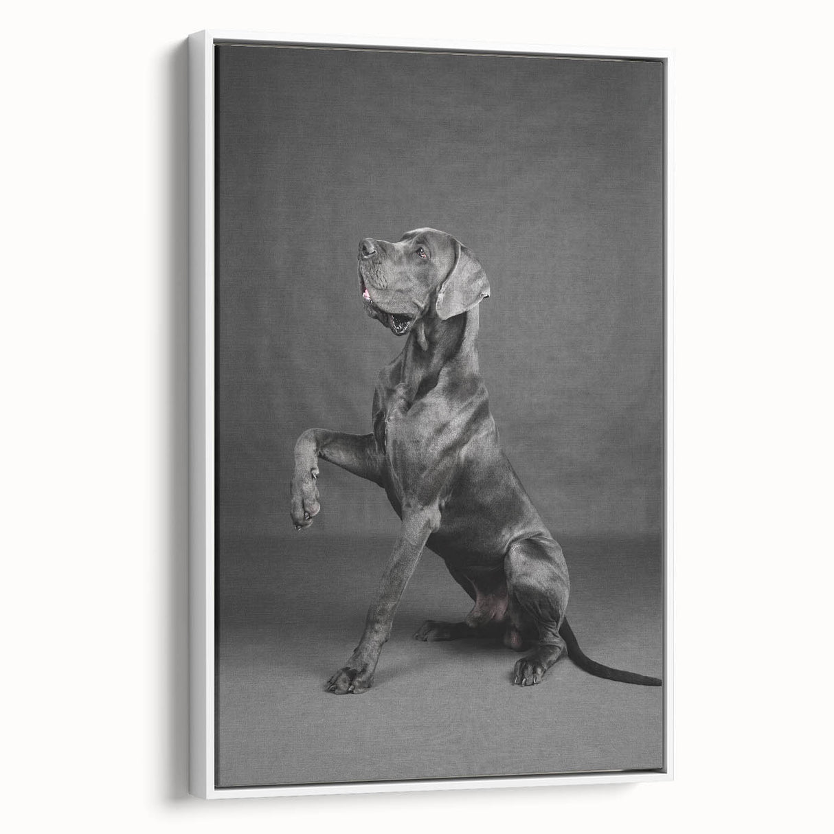 Framed canvas wall art featuring a whimsical dog design, showcasing vibrant colors and playful patterns, displayed against a white background in a side view. Perfect for animal lovers and home decor enthusiasts.