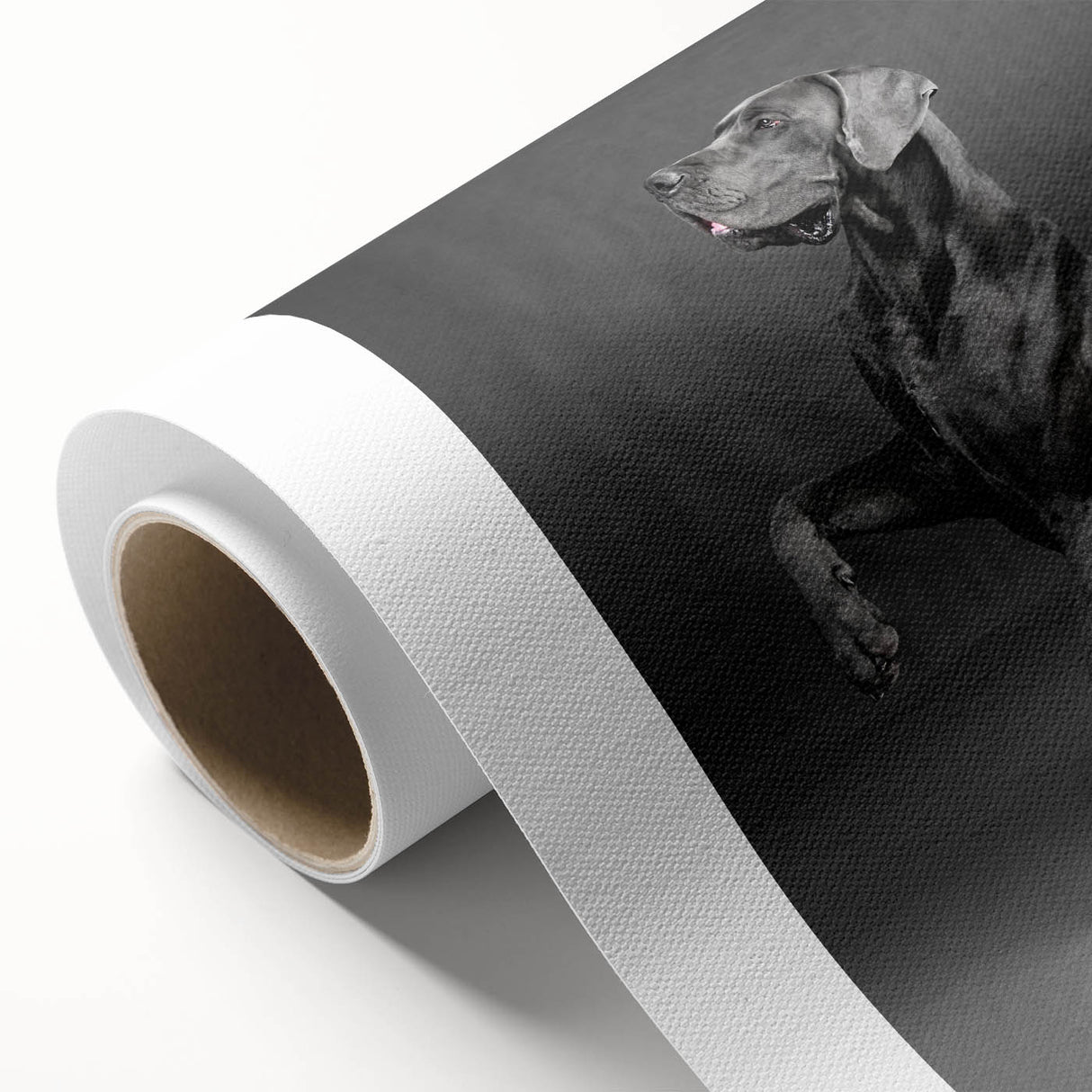 Rolled canvas wall art showcasing a vibrant dog design, featuring playful colors and intricate details, perfect for animal lovers and home decor enthusiasts.