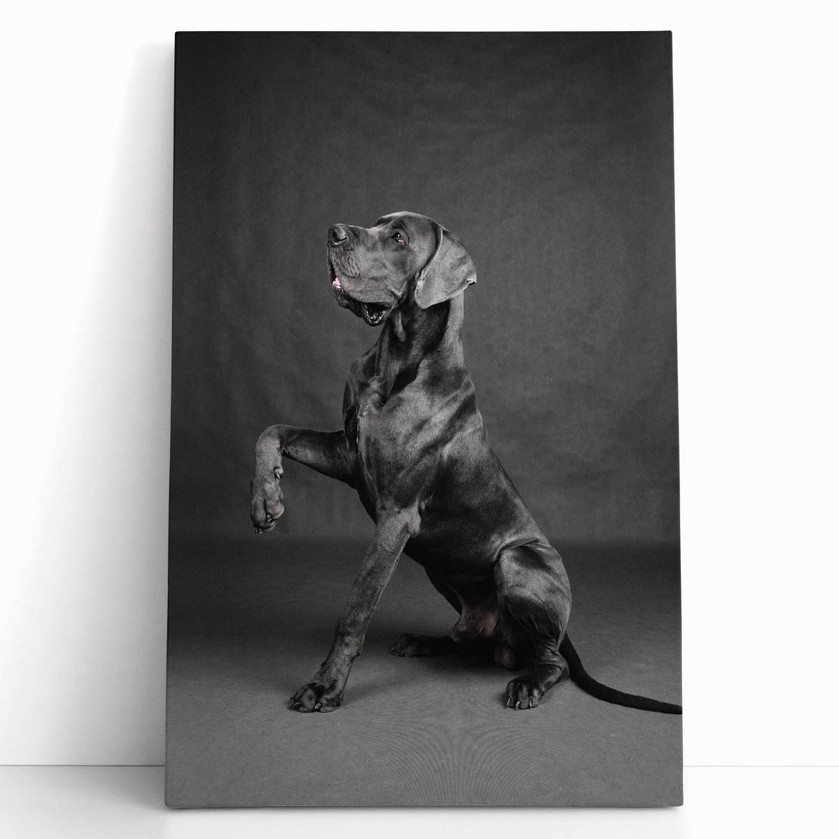 Canvas wall art featuring a vibrant design of various dog breeds in a whimsical style, showcasing rich colors and playful expressions, perfect for animal lovers.