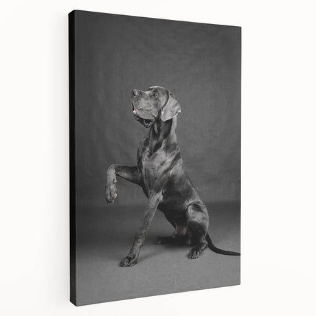 Stretched canvas wall art showcasing a playful dog design in vibrant colors, perfect for pet lovers and home decor enthusiasts. Ideal for adding a whimsical touch to any room.