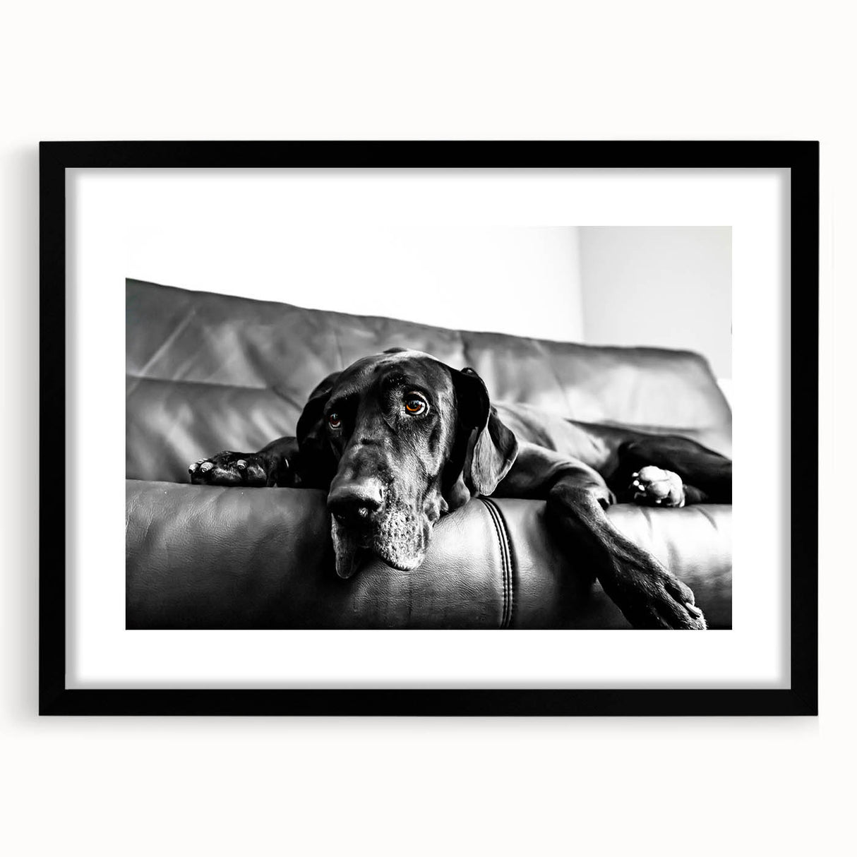 Framed wall art collection showcasing a striking design of various dog breeds, featuring a sleek black frame and white matting, ideal for animal lovers' decor.