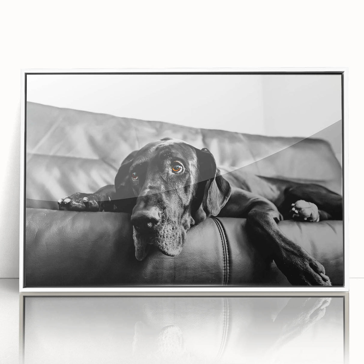Framed acrylic wall art featuring a vibrant dog design, showcasing playful colors and intricate details, perfect for pet lovers’ home décor.