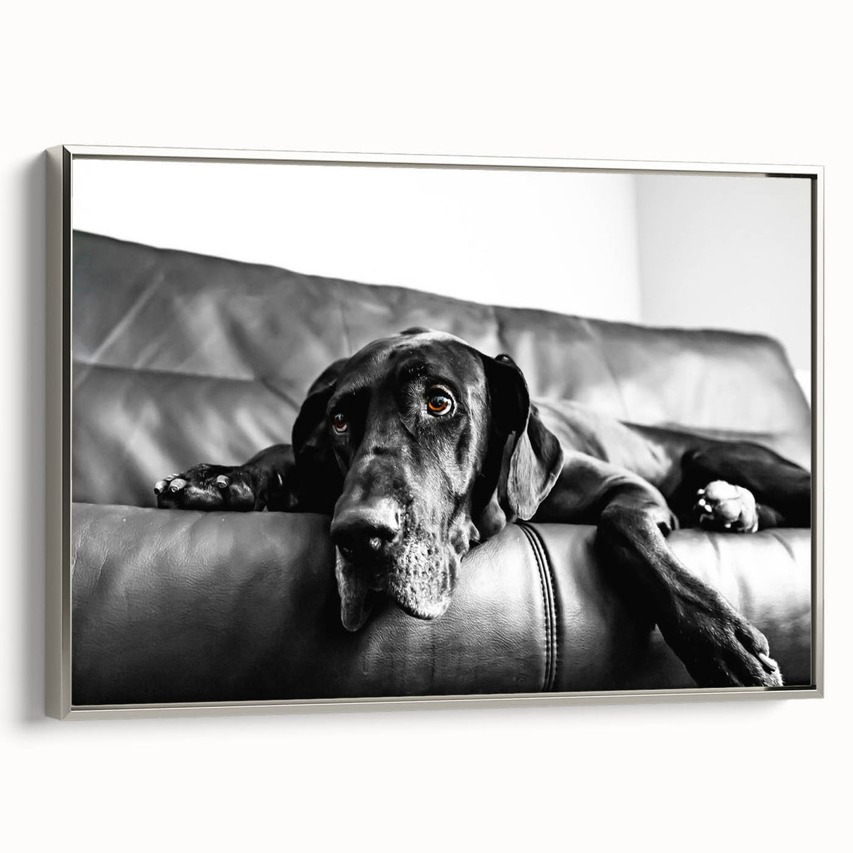 Framed canvas wall art showcasing a vibrant design of wild dogs in a natural setting, with a sleek silver frame, perfect for animal lovers and home decor enthusiasts.