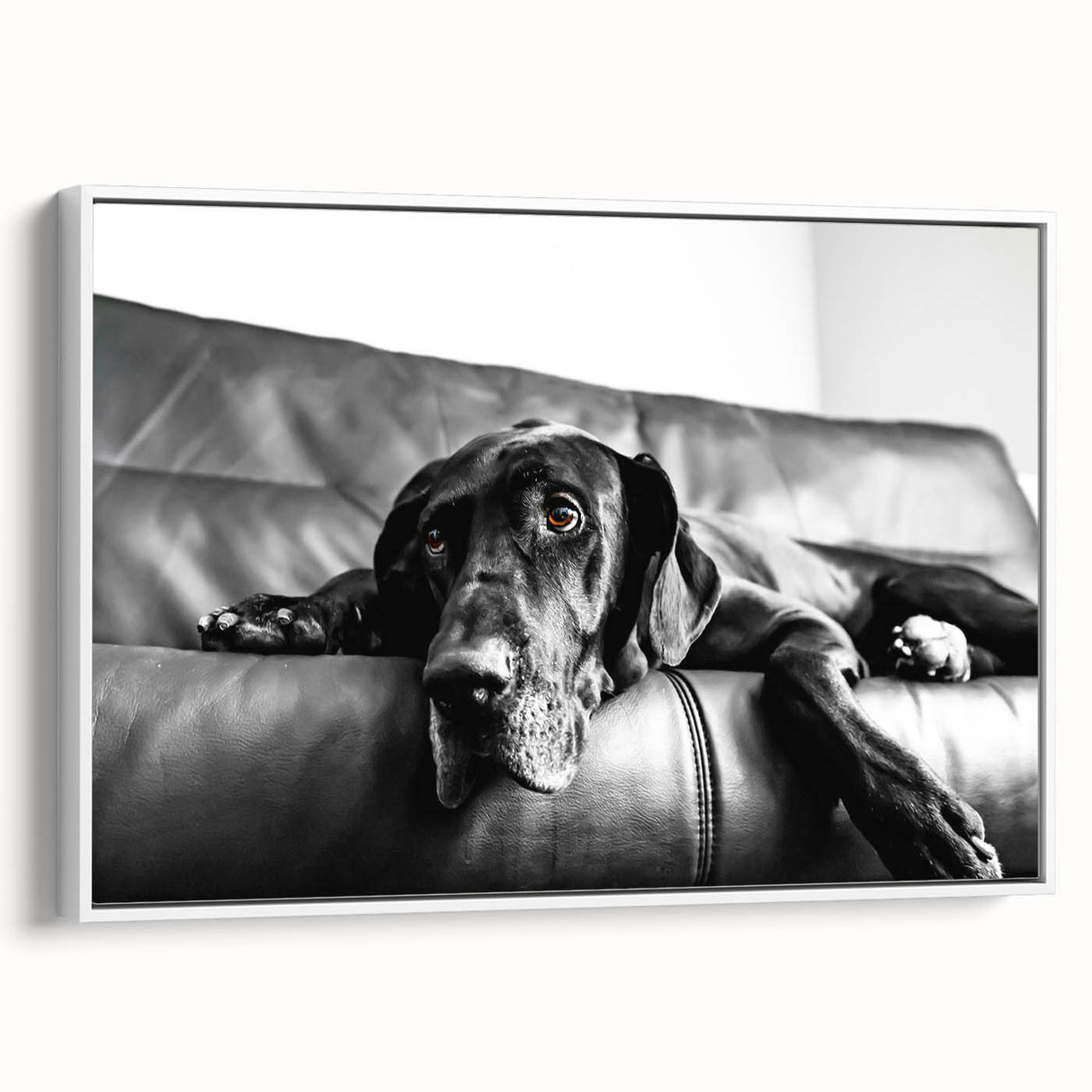 Framed canvas wall art showcasing a vibrant dog design from the 'A Wild Life' collection, set against a white backdrop, perfect for animal lovers' decor.