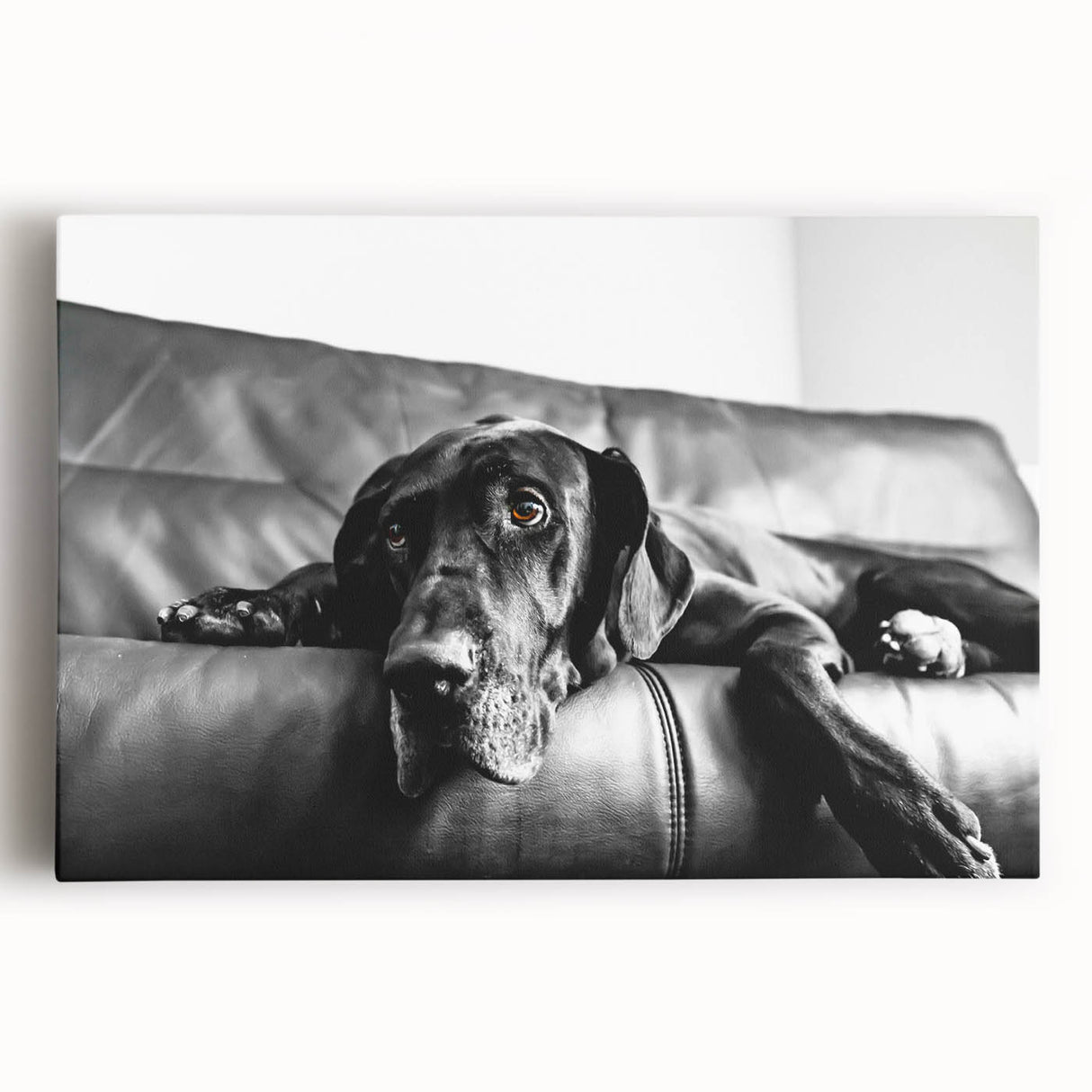 Stretched canvas wall art featuring a vibrant design of playful dogs in a wild, abstract style, ideal for animal lovers and home decor enthusiasts.
