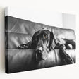 Stretched canvas wall art featuring a vibrant design of playful dogs in a wild setting, showcasing rich colors and intricate details, perfect for animal lovers.