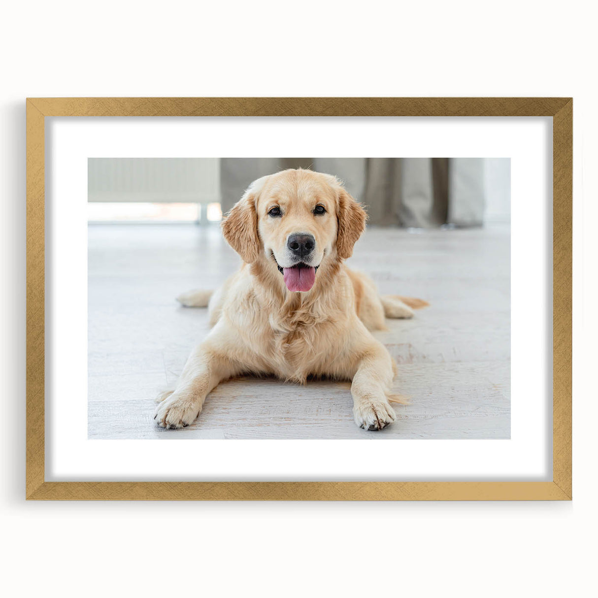 Framed wall art collection showcasing a stylish gold border design featuring playful dogs in a vibrant wildlife setting, perfect for animal lovers’ decor.